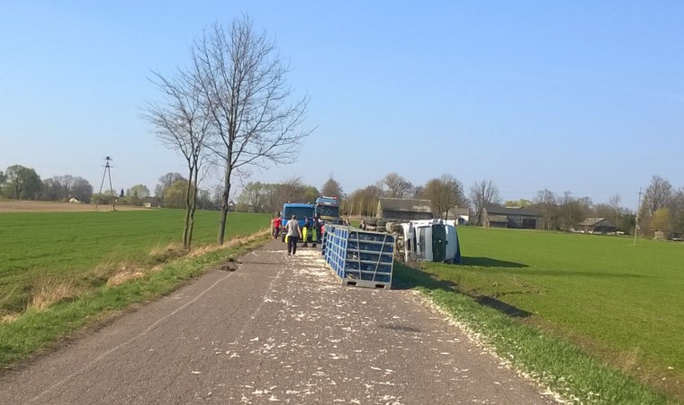 10.04.2017 - Rzążew (gm. Zbuczyn)