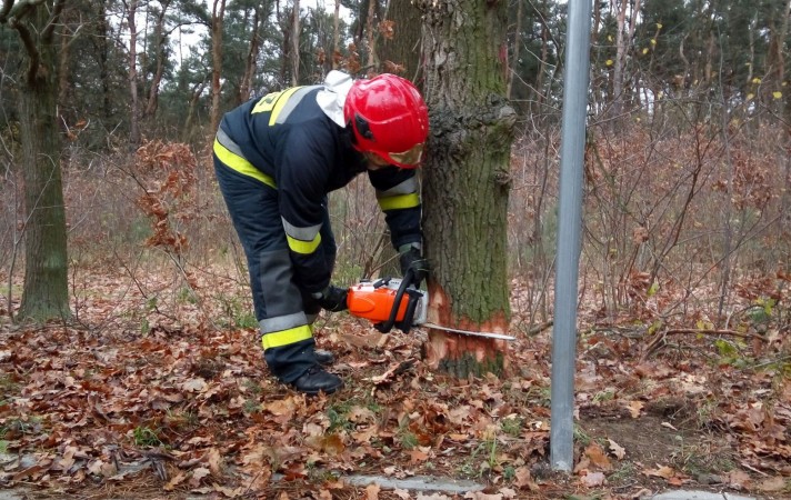 Ćwiczenia z zakresu usuwania skutków wiatrołomów