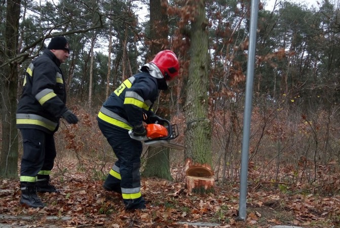Ćwiczenia z zakresu usuwania skutków wiatrołomów