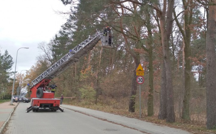 Ćwiczenia z zakresu usuwania skutków wiatrołomów