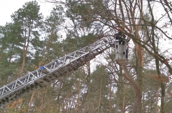 Ćwiczenia z zakresu usuwania skutków wiatrołomów