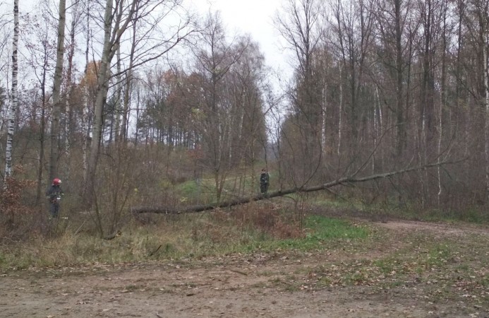 Ćwiczenia z zakresu usuwania skutków wiatrołomów