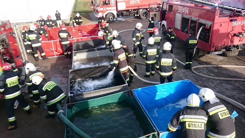 Ferma drobiu Trzciniec