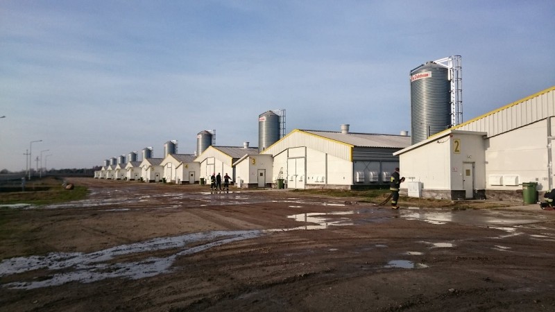 Ferma drobiu Trzciniec