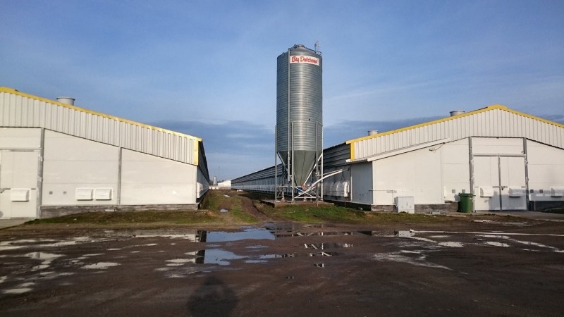 Ferma drobiu Trzciniec