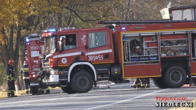 fot. A. Król