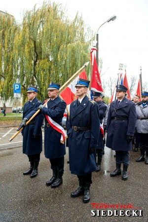 fot. A. Król