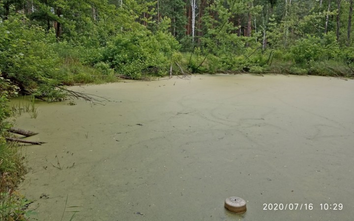 Praktyczne sprawdzenie leśnych punktów czerpania wody