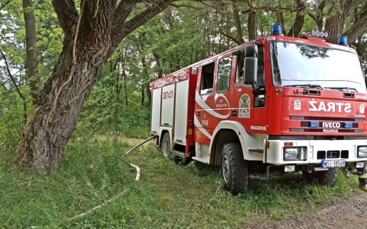Praktyczne sprawdzenie leśnych punktów czerpania wody