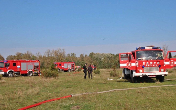 fot. Emilia Chojecka