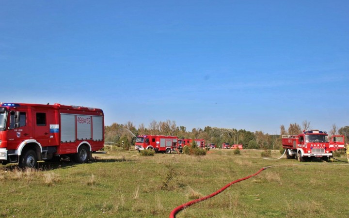fot. Emilia Chojecka